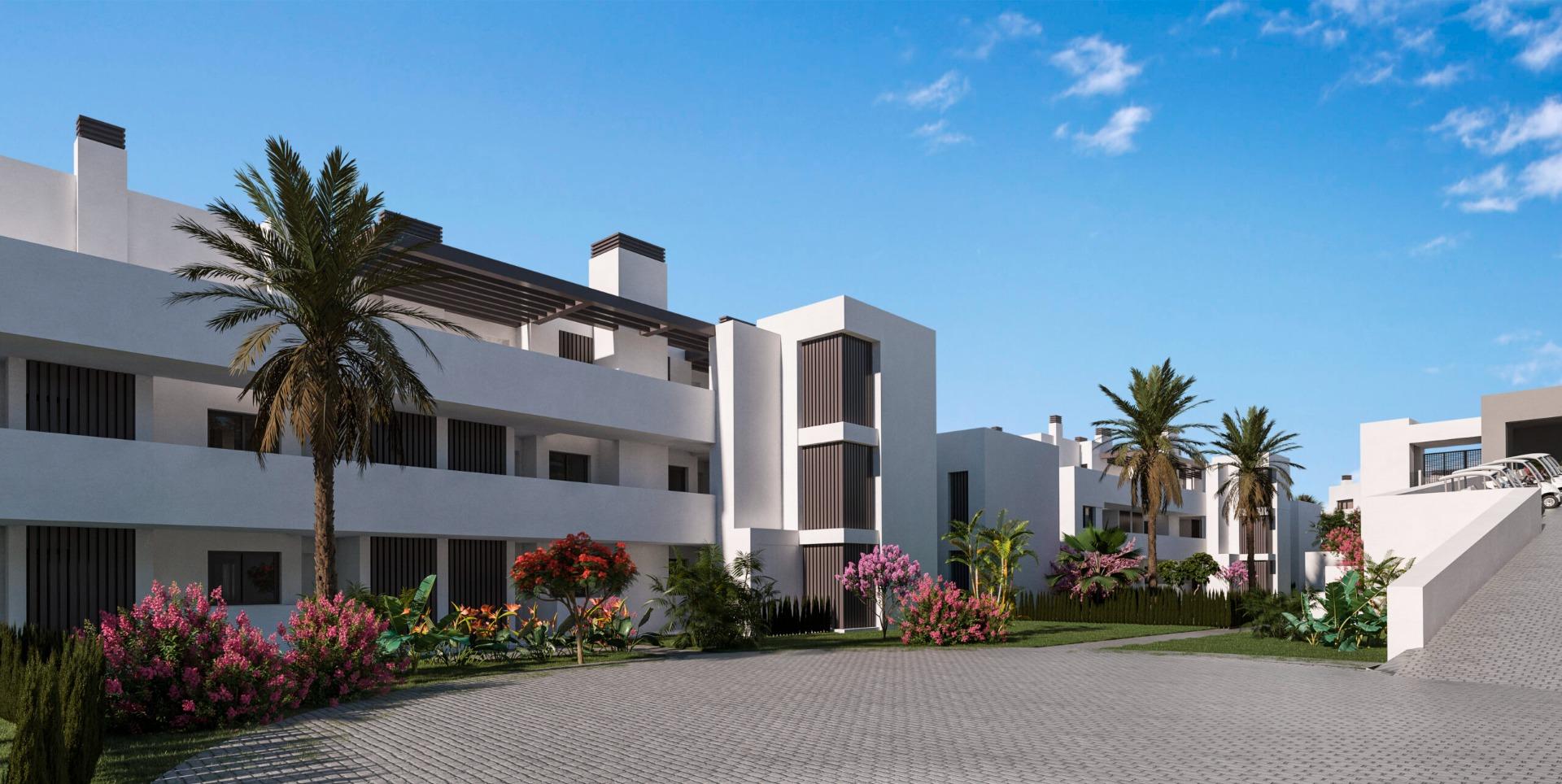 Apartament - C1diz